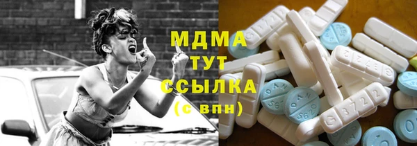 СК Пересвет