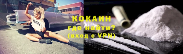 СК Пересвет