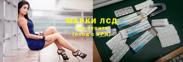 СК Пересвет