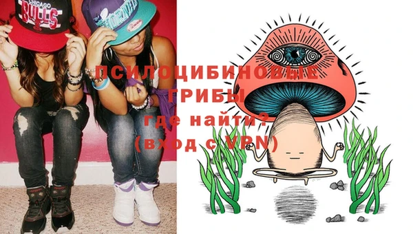 твердый Дмитров