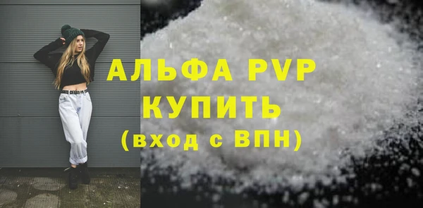 шишки Гусь-Хрустальный