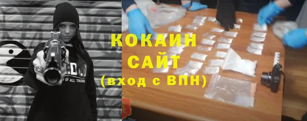 твердый Дмитров