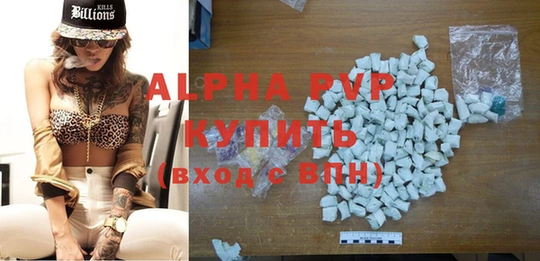 гидра Гусев