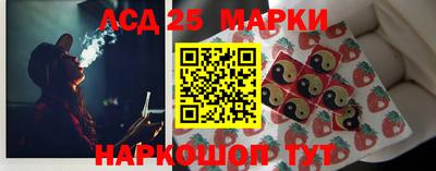 мяу мяу мука Аргун